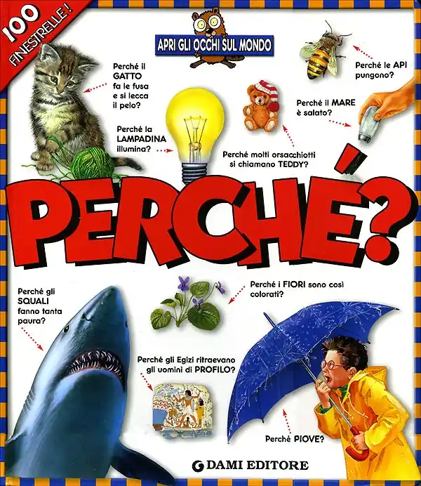 Perché? 100 finestrelle! Soddisfatti O Rimborsati