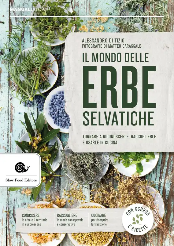 IL MONDO DELLE ERBE SELVATICHE TORNARE A RICONOSCERLE, RACCOGLIERLE E USARLE IN CUCINA Nuova Collezione