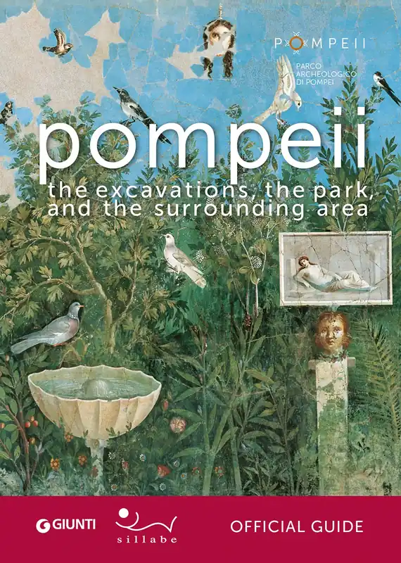 Pompeii the excavations, the park and the surrounding area Offerta Lampo